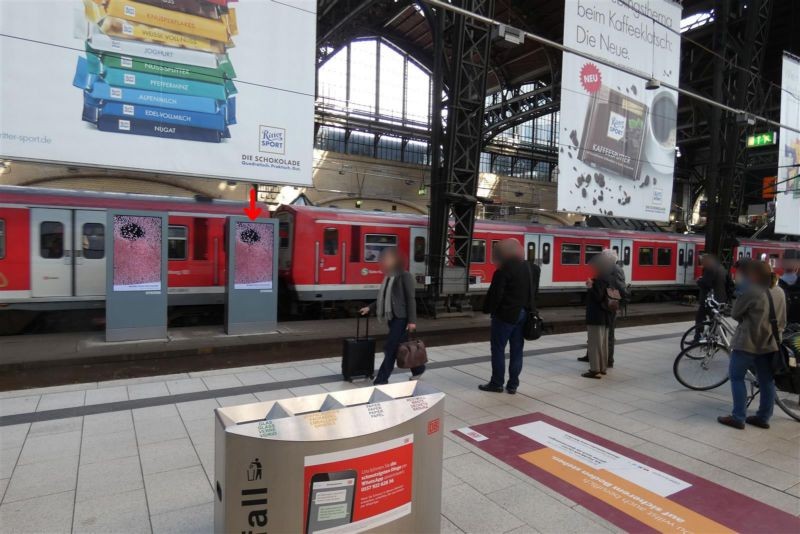 Hbf, zw. Gleis 4/5, 4. Anlage von d. Einfahrt